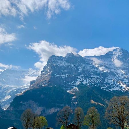 Eiger, Jungfrau, luxury garden apartment Grindelwald Exterior foto