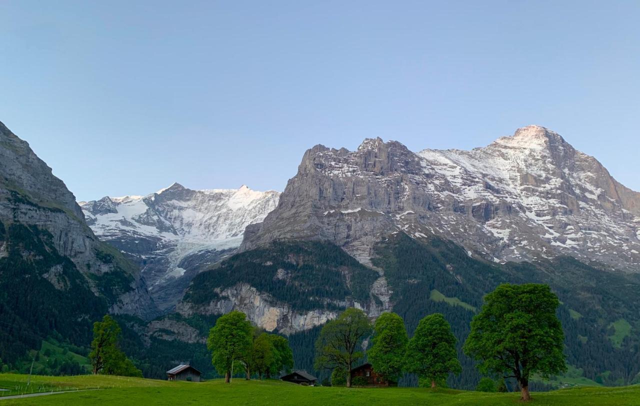 Eiger, Jungfrau, luxury garden apartment Grindelwald Exterior foto